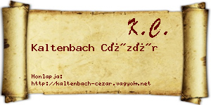 Kaltenbach Cézár névjegykártya